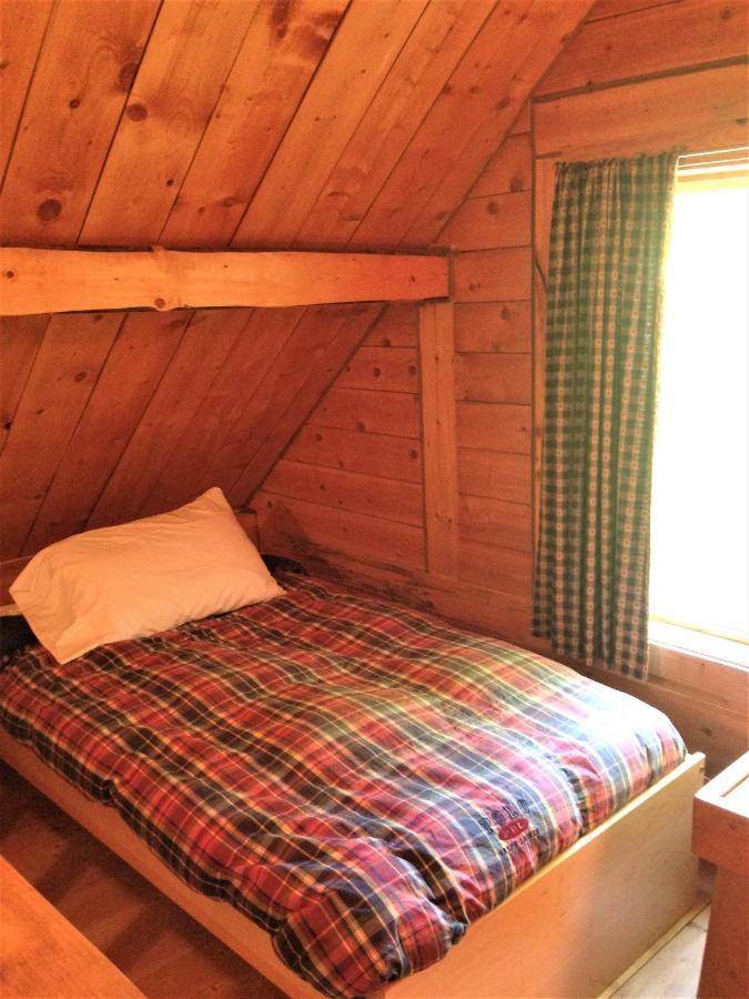 Homer Floatplane Lodge Rom bilde