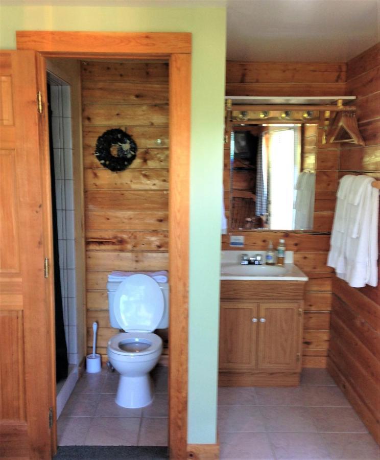 Homer Floatplane Lodge Rom bilde